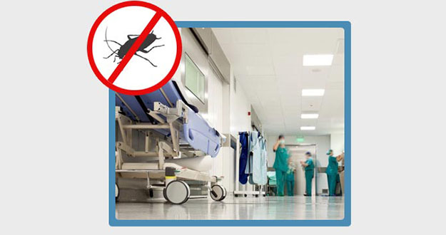 Doctor Office Pest Control in and near Brooksville Florida
