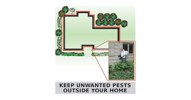 Perimeter Pest Control Sprays in and near Brooksville Florida
