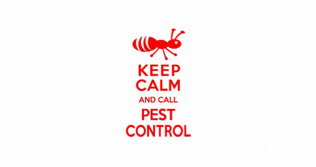 Preventative Pest Control in and near Brooksville Florida