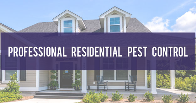 Residential Pest Control in and near Brooksville Florida