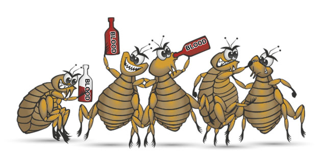 Flea Pest Control in and near Inverness Florida