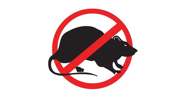 Rat Pest Control in and near Land O' Lakes Florida
