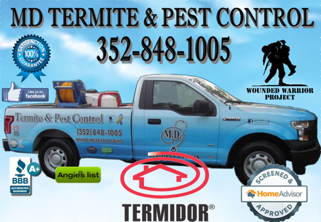 MD Termite & Pest Control in Lutz Florida