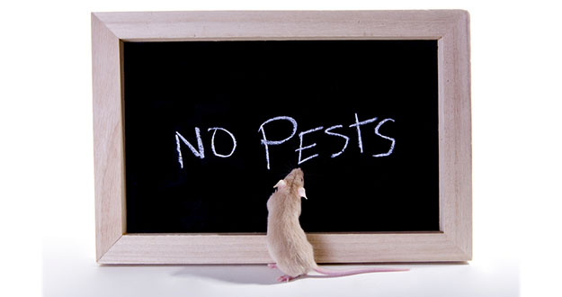Rental Property Pest Control in and near Lutz Florida