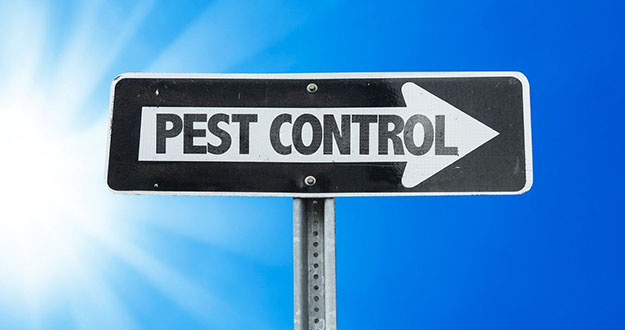 Business Pest Control in and near New Port Richey Florida