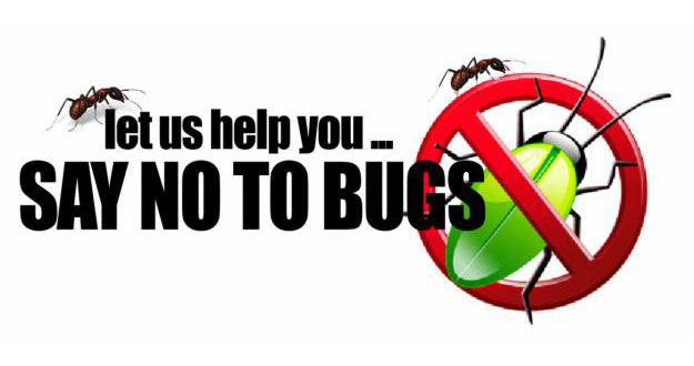 Home Pest Control in and near Tampa Florida